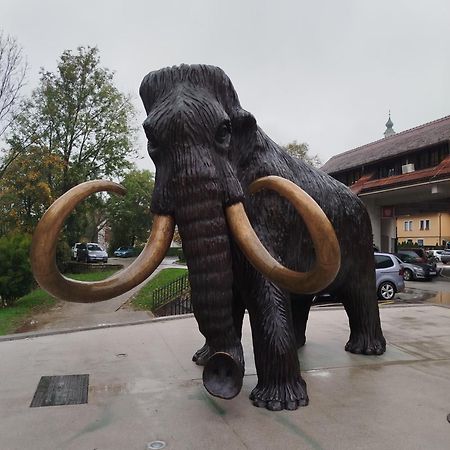 Apartma Mamut 1850 Kamnik Esterno foto