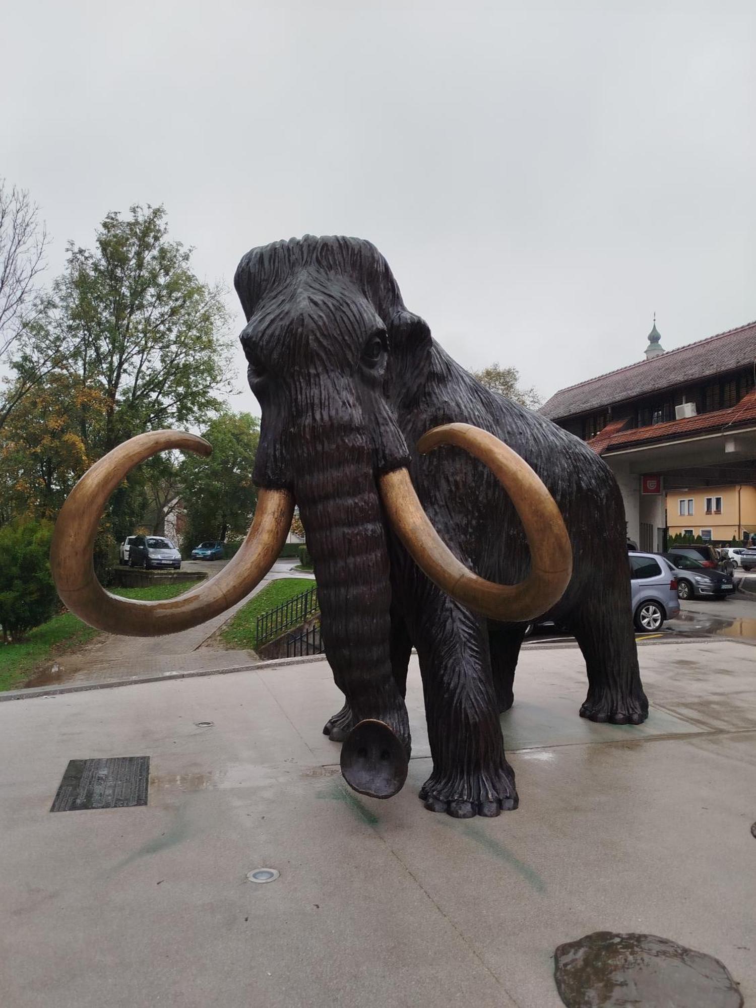 Apartma Mamut 1850 Kamnik Esterno foto